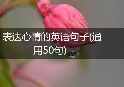 表达心情的英语句子(通用50句)