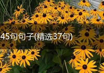 45句句子(精选37句)