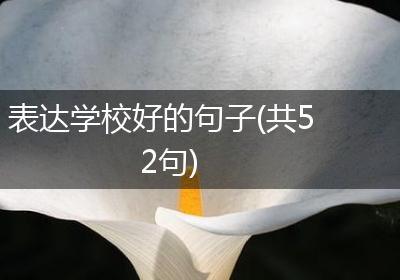 表达学校好的句子(共52句)