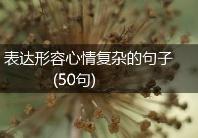 表达形容心情复杂的句子(50句)