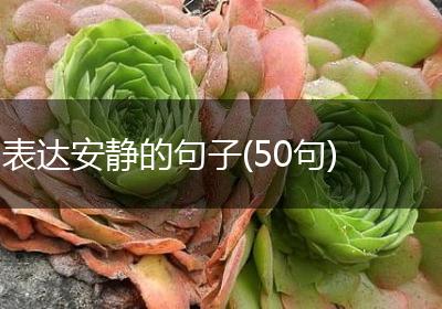 表达安静的句子(50句)