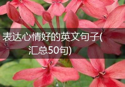 表达心情好的英文句子(汇总50句)