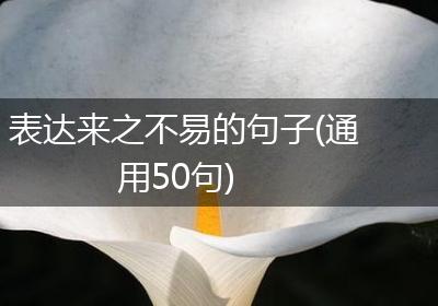 表达来之不易的句子(通用50句)
