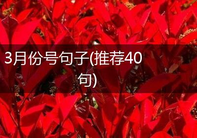 3月份号句子(推荐40句)