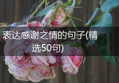 表达感谢之情的句子(精选50句)