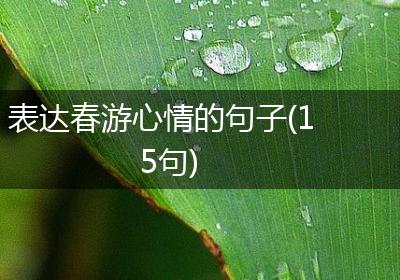 表达春游心情的句子(15句)