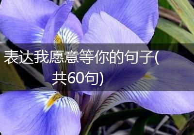 表达我愿意等你的句子(共60句)