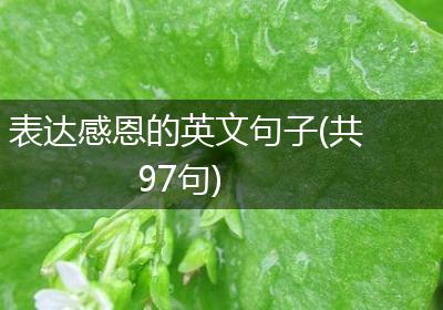 表达感恩的英文句子(共97句)
