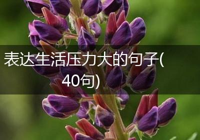 表达生活压力大的句子(40句)