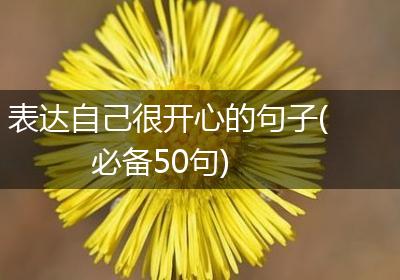 表达自己很开心的句子(必备50句)