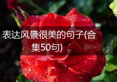 表达风景很美的句子(合集50句)