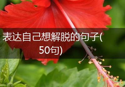 表达自己想解脱的句子(50句)