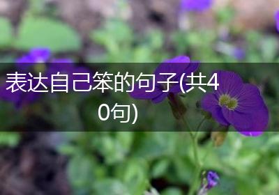 表达自己笨的句子(共40句)