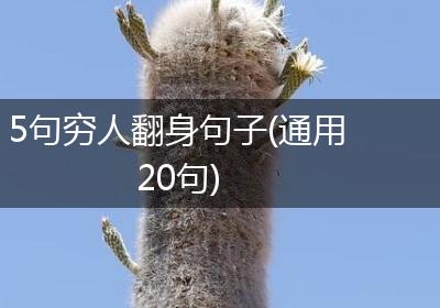 5句穷人翻身句子(通用20句)