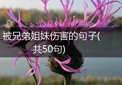 被兄弟姐妹伤害的句子(共50句)