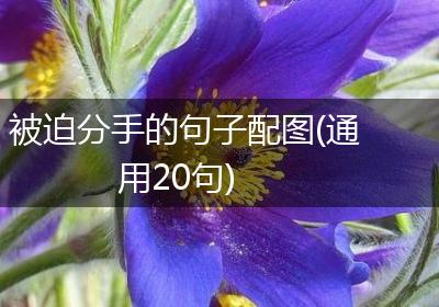 被迫分手的句子配图(通用20句)