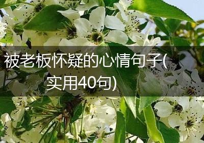 被老板怀疑的心情句子(实用40句)