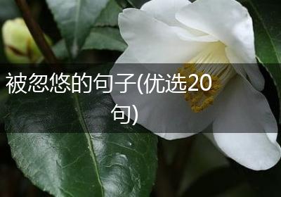被忽悠的句子(优选20句)