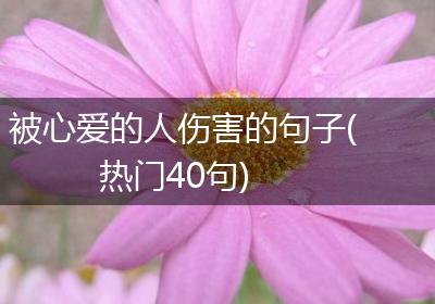 被心爱的人伤害的句子(热门40句)
