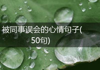 被同事误会的心情句子(50句)