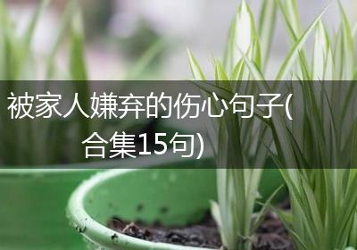 被家人嫌弃的伤心句子(合集15句)
