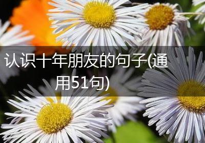 认识十年朋友的句子(通用51句)