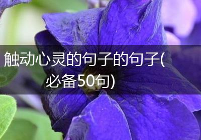 触动心灵的句子的句子(必备50句)