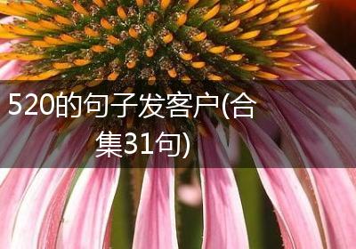 520的句子发客户(合集31句)