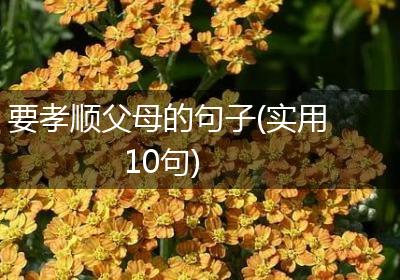 要孝顺父母的句子(实用10句)