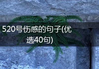 520号伤感的句子(优选40句)