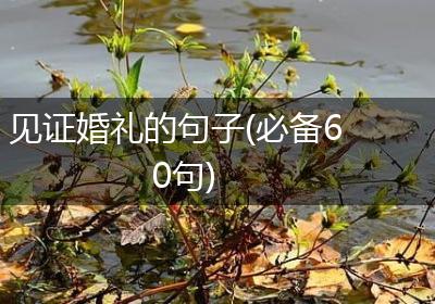 见证婚礼的句子(必备60句)