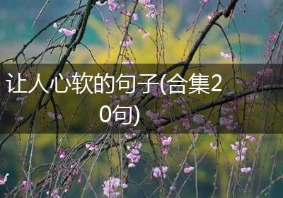 让人心软的句子(合集20句)