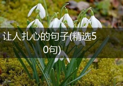 让人扎心的句子(精选50句)