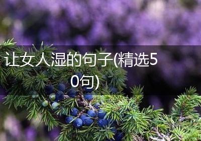 让女人湿的句子(精选50句)