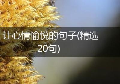 让心情愉悦的句子(精选20句)