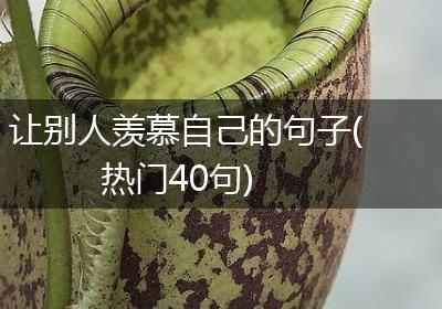 让别人羡慕自己的句子(热门40句)