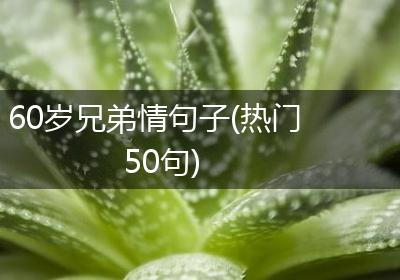 60岁兄弟情句子(热门50句)