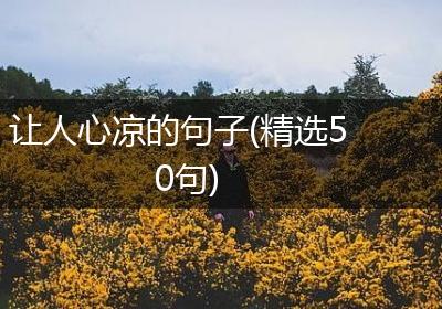 让人心凉的句子(精选50句)