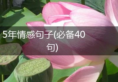 5年情感句子(必备40句)