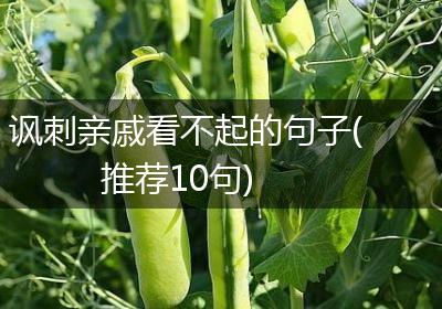 讽刺亲戚看不起的句子(推荐10句)