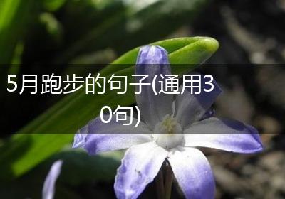 5月跑步的句子(通用30句)