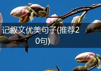 记叙文优美句子(推荐20句)
