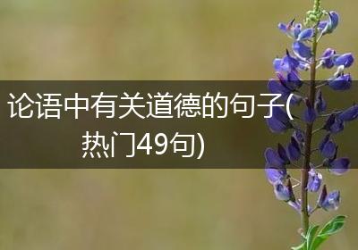 论语中有关道德的句子(热门49句)