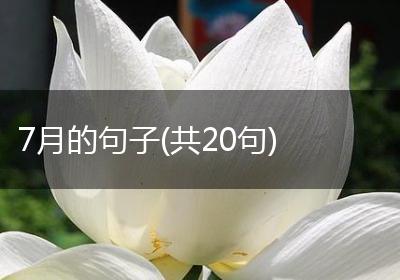 7月的句子(共20句)