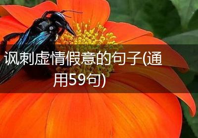 讽刺虚情假意的句子(通用59句)
