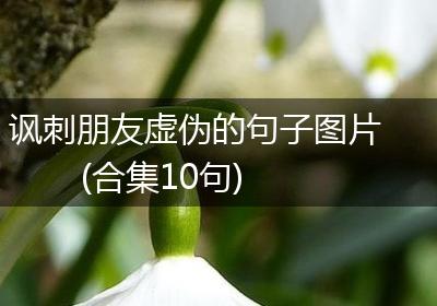 讽刺朋友虚伪的句子图片(合集10句)