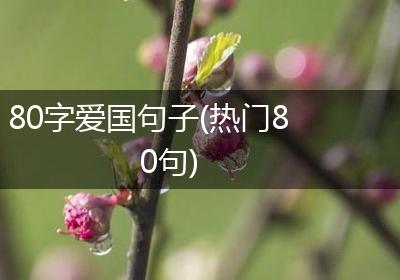 80字爱国句子(热门80句)