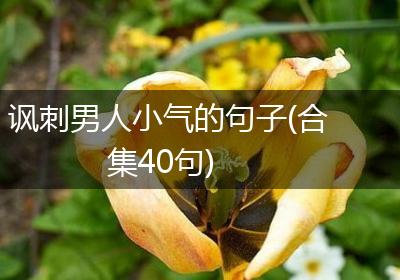 讽刺男人小气的句子(合集40句)