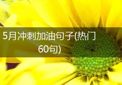 5月冲刺加油句子(热门60句)