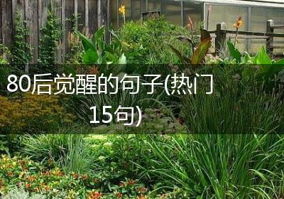 80后觉醒的句子(热门15句)